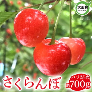 yӂ邳Ɣ[Łz ߘa8N520܂ 700g (  /  )b2026N6{ȍ~\bTN{ { ʕ t[c Mtg Y ʎ ̕ ʑ s\