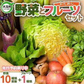 【ふるさと納税】先行予約 野菜 と フルーツ セット ( 旬の野菜 10種類前後＋ 果物 1種類) 旬 野菜セット 採れたて 新鮮 お試し おまかせ 詰め合わせ 産地直送 SDGs 季節 さくらんぼ 桃 モモ 梨 りんご 6月以降 順次発送 送料無料 福島県大玉村 OT01-001