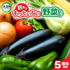  もったいない野菜 野菜セット （5種類程度） 野菜 新鮮 訳あり 詰め合わせ 食べ切り SDGs フードロス 送料無料 季節 旬 おまかせ 5000円 以下【01105】