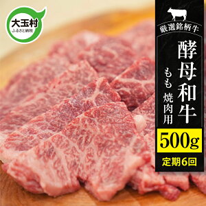 yӂ邳Ɣ[Łzy6ցzya ( ē p)  500g × 6 ( v3kg ) b  јa  6  _  O j  ʑ b 02117-t6