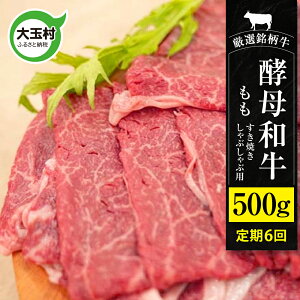 yӂ邳Ɣ[Łzy6ցz ₫ Ԃ a  500g v6 (v 3kg ) yab  ʑ  Ă 6  b 02118-t6
