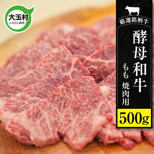 yӂ邳Ɣ[Łz ē јa  500g  ya a ؂藎Ƃ    j  _  ʑ b 02109