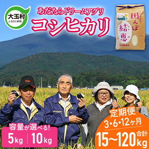 yӂ邳Ɣ[Łz  RVqJ i15kg / 30kg / 60kg / 120kgj ׂ 3 / 6 / 12 yߘa7NYz ʍ͔| y  RN[ ܕ h[AOzb  