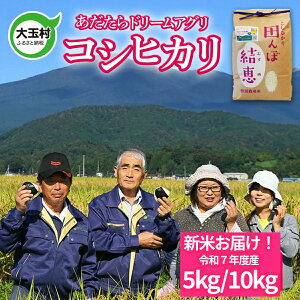 yӂ邳Ɣ[Łzߘa7NY V \  ͔| RVqJ 5kg/10kg  5kg 10kg  y  RN[ ܕ  h[AO z b ʍ͔|   č