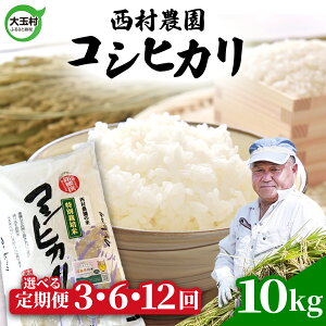 yӂ邳Ɣ[Łz   RVqJ 10kg Iׂ 3 / 6 12 s ߘa7NY t  ʑ _ b  3 6 12   Ђ R  bnm-kh10-t-R7