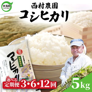 yӂ邳Ɣ[Łz V  RVqJ5kg Iׂ 3 / 6 12 s ߘa7NY t  ʑ _ b  3 6 12   Ђ R  bnm-kh5-t7
