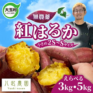 yӂ邳Ɣ[Łz ܂ g͂邩 3kg / 5kg _ 2S`S TCY  ʑ Y  Tc}C ܈ XC[g|eg n ₫ Ă |eg XC[c ^g  