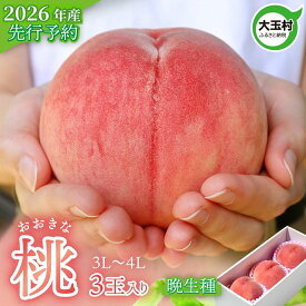 【ふるさと納税】 もも 桃 福島 2026年 先行予約 3玉 大きいサイズ( 3L 〜 4L ) 2026年8月中旬-9月下旬発送 晩生種 ｜ 大玉 福島県 大玉村 菊地果樹園 令和8年 白桃 川中島白桃 さくら ゆうぞら 果物 フルーツ くだもの 産地直送 送料無料 ギフト 贈答 ｜ kk-mm01-R8