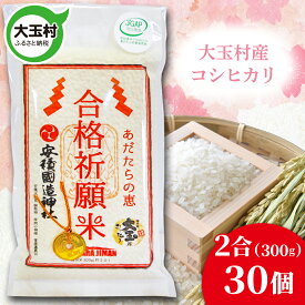 【ふるさと納税】【令和5年産】 合格祈願米 コシヒカリ 真空米 2合 ( 300g )× 30個 受験 御利益 【21017】 ご祈祷 合格 合格祈願