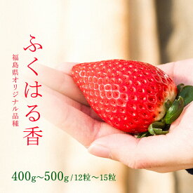 【ふるさと納税】【先行予約】香りが強い！福島県オリジナル品種「ふくはる香」約400g～500g（12粒～15粒） いちご イチゴ 苺 福島県 鏡石町 鏡石農遊園 F6Q-074