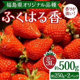 【ふるさと納税】【先行予約】香りが強い！福島県オリジナル品種「ふくはる香」 2L～3L 約500g（約250g×2パック） いちご イチゴ 苺 福島県 鏡石町 鏡石農遊園 F6Q-076