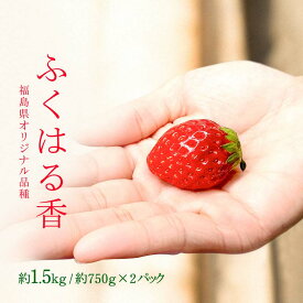 【ふるさと納税】【先行予約】香りが強い！福島県オリジナル品種「ふくはる香」小粒 バラ詰め 約1.5kg（約750g×2パック） いちご イチゴ 苺 福島県 鏡石町 鏡石農遊園 F6Q-079