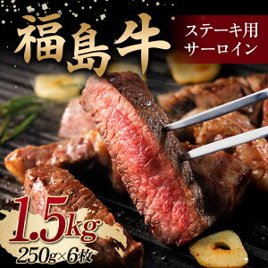 yӂ邳Ɣ[Łz Xe[Lp T[C 1.5kg (250g×6)  јa Y a F6Q-103