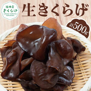 yӂ邳Ɣ[ŁzuLNQv500g (100g×5pbN) 炰 ̂ LmR F6Q-108