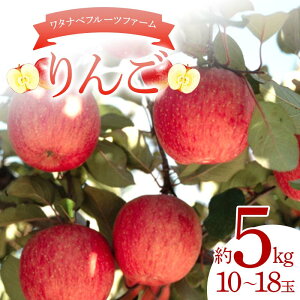 yӂ邳Ɣ[Łz^ixt[ct@[̂ 5kgi10`18ʁj S t[c ʕ F6Q-124