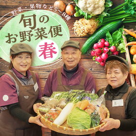 【ふるさと納税】 鏡石のうまいもの野菜の直送便（春）果物 詰め合わせ つめ合わせ セット 福島県 鏡石町 F6Q-133