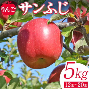yӂ邳Ɣ[Łzs\  Tӂ5kgi12ʁ`20ʁj S t[c ʕ  Β F6Q-138