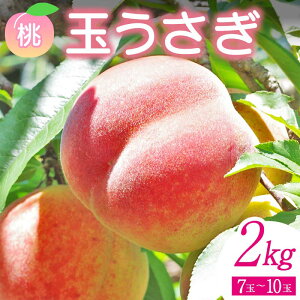 yӂ邳Ɣ[Łzs\ Y ÂăW[V[  ʂ2kgi7ʁ`10ʁj  t[c ʕ  Β F6Q-358
