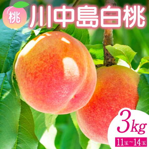 yӂ邳Ɣ[Łzs\ Y ÂăW[V[  쒆  3kgi11ʁ`14ʁj  t[c ʕ  Β F6Q-356