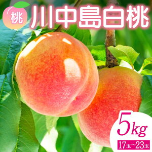 yӂ邳Ɣ[Łzs\ Y ÂăW[V[  쒆  5kgi17ʁ`23ʁj  t[c ʕ  Β F6Q-357