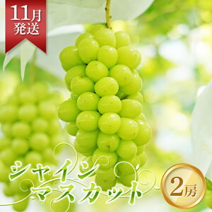 yӂ邳Ɣ[Łz s\11 VC}XJbg 2[i1.5kg`2kgj Ԃǂ uhE  t[c ʕ  Β F6Q-145