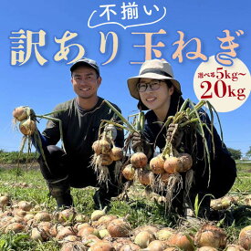 【ふるさと納税】《選べる容量》《先行予約》 2026年発送 ＜訳アリ＞うまみたっぷり！不揃い玉ねぎ 《5kg 10kg 20kg》 和田農園 たまねぎ タマネギ 玉葱 野菜 訳あり ワケアリ F6Q-151var