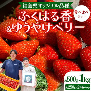 yӂ邳Ɣ[Łz_Iׂeʁ^IWiiuӂ͂鍁vu䂤₯x[vHה׃Zbg 500gi250g×2pbNj^ 1kgi250g×4pbNj C`S   Β 
