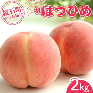 yӂ邳Ɣ[Łzs\񁄕IWii  ͂Ђ2kg i7ʁ`10ʁj  t[c ʕ F6Q-349