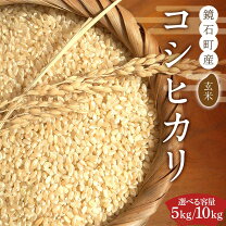 楽天市場】こしひかり玄米 10kgの通販