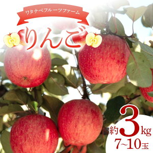 yӂ邳Ɣ[Łz^ixt[ct@[̂ 3kgi7`10ʁj S t[c ʕ F6Q-385