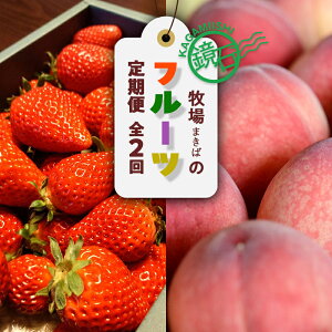 �y�ӂ邳�Ɣ[�Łz�y2026�N���甭���J�n�z��l�C�I���Β� �܂��΂̃t���[�c����ցi������ ��500g�E�� ��2kg�j�C�`�S � ���� ���� ������ ���Β� F6Q-386