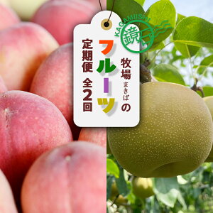 �y�ӂ邳�Ɣ[�Łz�y2026�N�����z���Β� �܂��΂̃t���[�c����ցi��2kg�E�a��3kg�j���� ���� �i�V �Ȃ� ������ ���Β� F6Q-387