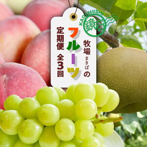 �y�ӂ邳�Ɣ[�Łz�y2026�N���甭���J�n�z���Β� �܂��΂̃t���[�c����ցi�� ��2kg�E�a�� ��3kg�E�V���C���}�X�J�b�g2�[�j���� ���� �i�V �Ȃ� �u�h�E �Ԃǂ� ������ ���Β� F6Q-388