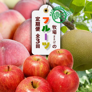 �y�ӂ邳�Ɣ[�Łz�y2026�N�����z���Β� �܂��΂̃t���[�c����ցi��2kg�E�a��3kg�E���5kg�j���� ���� �i�V �Ȃ� �����S ������ ���Β� F6Q-390