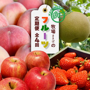 �y�ӂ邳�Ɣ[�Łz�y2026�N���甭���J�n�z���Β� �܂��΂̃t���[�c����ցi��2kg�E�a��3kg�E���5kg�E������500g�j���� ���� �i�V �Ȃ� �����S �C�`�S � ������ ���Β� F6Q-391