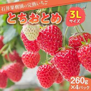 �y�ӂ邳�Ɣ[�Łz�Έ�ʎ����̊��n������ �Ƃ����Ƃ� 3L�T�C�Y ��1kg�i260g×4�p�b�N�j �C�`�S � ������ ���Β� F6Q-395