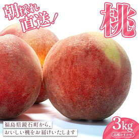 【ふるさと納税】朝採れ直送！桃3kg（9玉～14玉）品種おまかせ もも フルーツ 果物 デザート F6Q-426