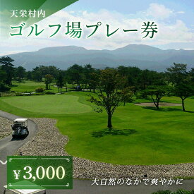 【ふるさと納税】天栄村内ゴルフ場プレー券（3,000円分） F21T-032