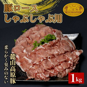 yӂ邳Ɣ[Łz[R؃[XԂԗp 1kg  ؓ [X Ԃ k  [R  F21T-045