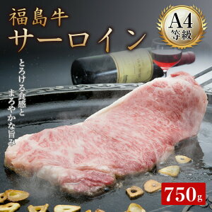 yӂ邳Ɣ[ŁzA4T[C 750gi250g×3j  T[C k  F21T-049