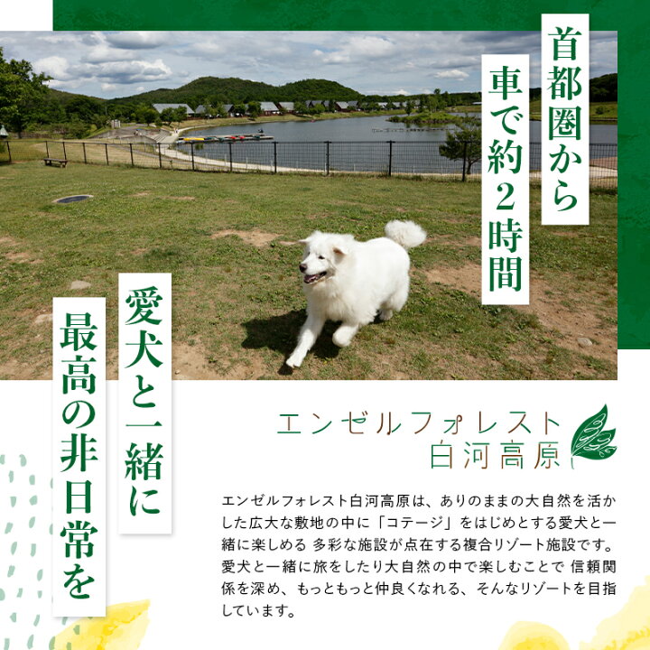 楽天市場】【ふるさと納税】エンゼルフォレスト白河高原で使える宿泊 