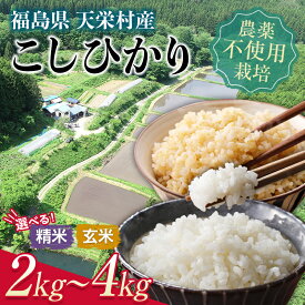 【ふるさと納税】＜2025年12月上旬以降発送＞無農薬の米 福島県のコシヒカリ 自然農法で育ったお米「こしひかり」精米／玄米 2kg～4kg 天栄村 自然農法 農薬・肥料未使用 F21T-144var