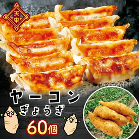 【ふるさと納税】天栄村特産を使ったヤーコン餃子 60個 東北 福島県 天栄村 F21T-181