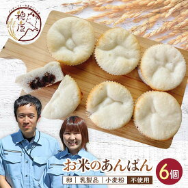 【ふるさと納税】グルテンフリー お米のあんぱん 6個セット 低糖質 糖質オフ ヘルシー 米粉 パン F21T-237