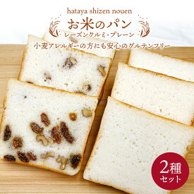 【ふるさと納税】グルテンフリーお米のパン 2種セット 低糖質 糖質オフ ヘルシー 米粉 パン F21T-239