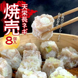 【ふるさと納税】天栄長ネギ 焼売 8個入り 惣菜 中華 冷凍 おかず 葱 ねぎ しゅうまい シュウマイ F21T-324