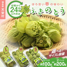 【ふるさと納税】【選べるサイズ・容量】収穫から24時間以内に発送！ほろ苦い春の味わい「ふきのとう」S・M・Lサイズ 1パック100g・2パック200g 野菜 食品 F21T-346var