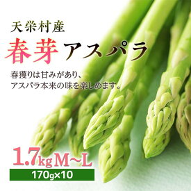 【ふるさと納税】【先行予約】 ≪天栄村産≫ 春芽アスパラM～Lサイズ 1.7kg アスパラガス 野菜 やさい ≪天栄村産≫ 朝獲り 新鮮 F21T-439