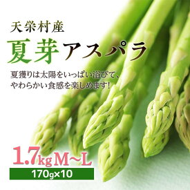 【ふるさと納税】【先行予約】 ≪天栄村産≫ 夏芽アスパラM～Lサイズ 1.7kg アスパラガス 野菜 やさい ≪天栄村産≫ 朝獲り 新鮮 F21T-440