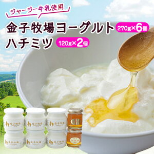 【ふるさと納税】金子牧場ヨーグルト、ハチミツセット【配送不可地域:離島】【1022679】